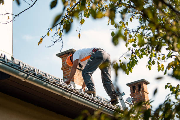 Best Storm Damage Roof Repair  in Wynantskill, NY